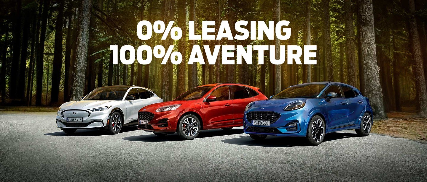 Ford PV range