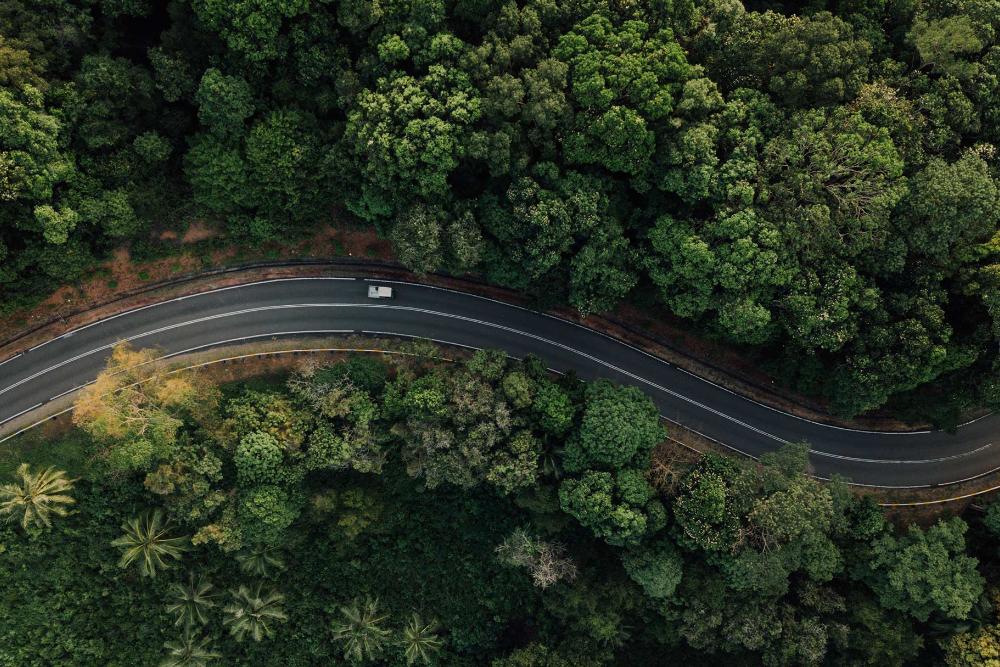 Vue aérienne d’une route dans la forêt