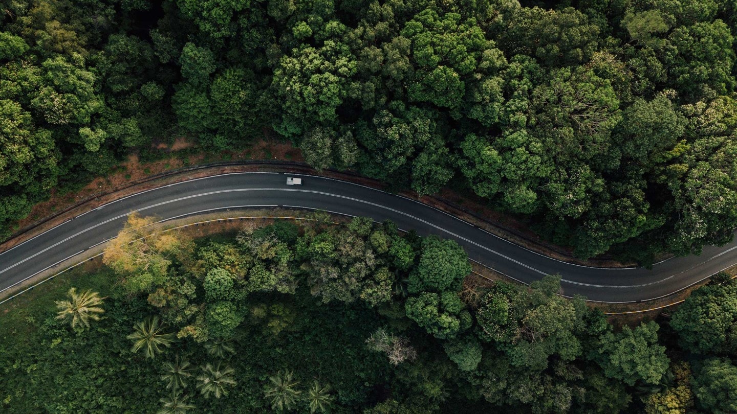 Vue aérienne d’une route dans la forêt