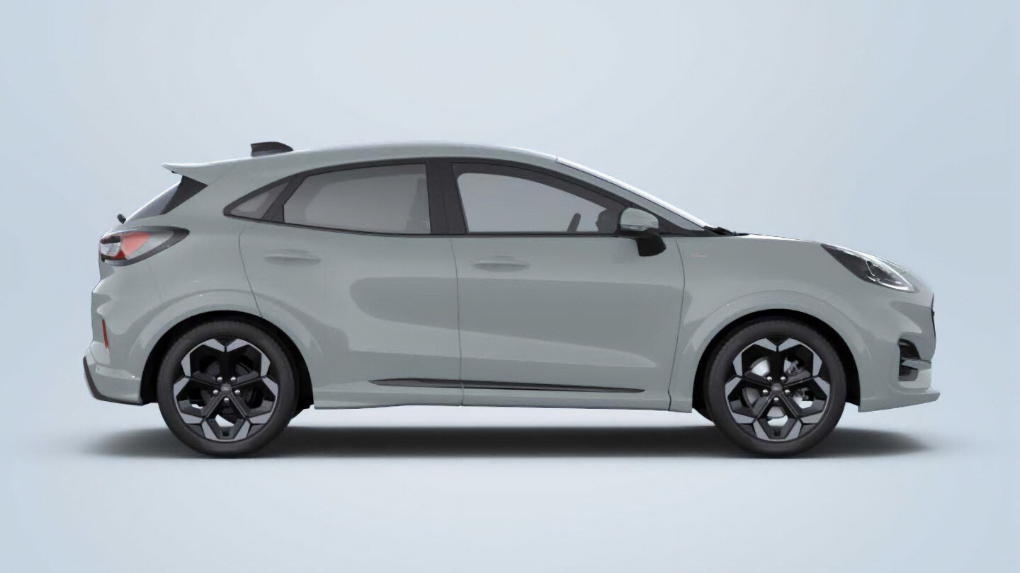 Gray Ford Puma