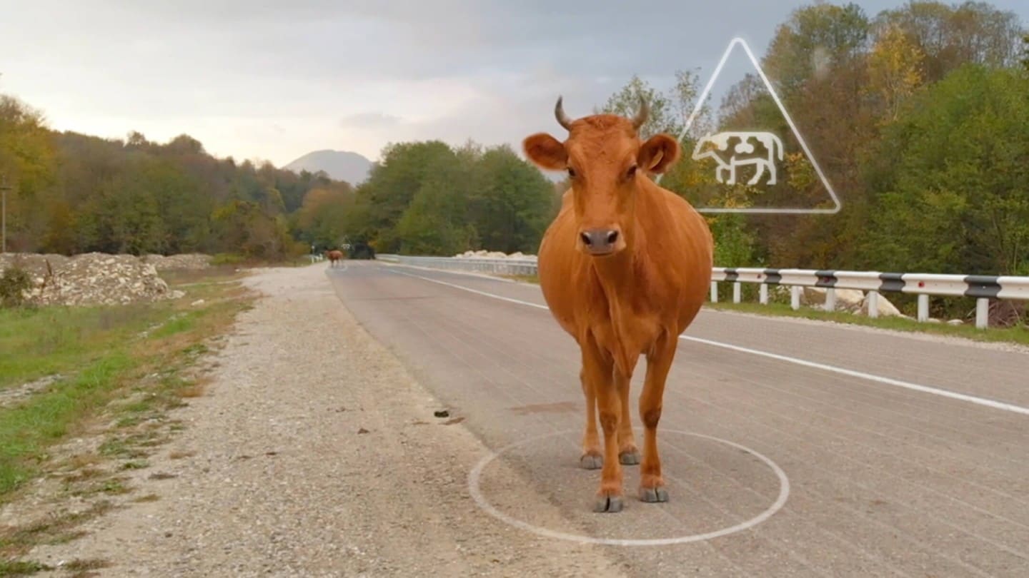 Vache se tenant au milieu d’une route de campagne avec graphique animé de l’alerte de danger