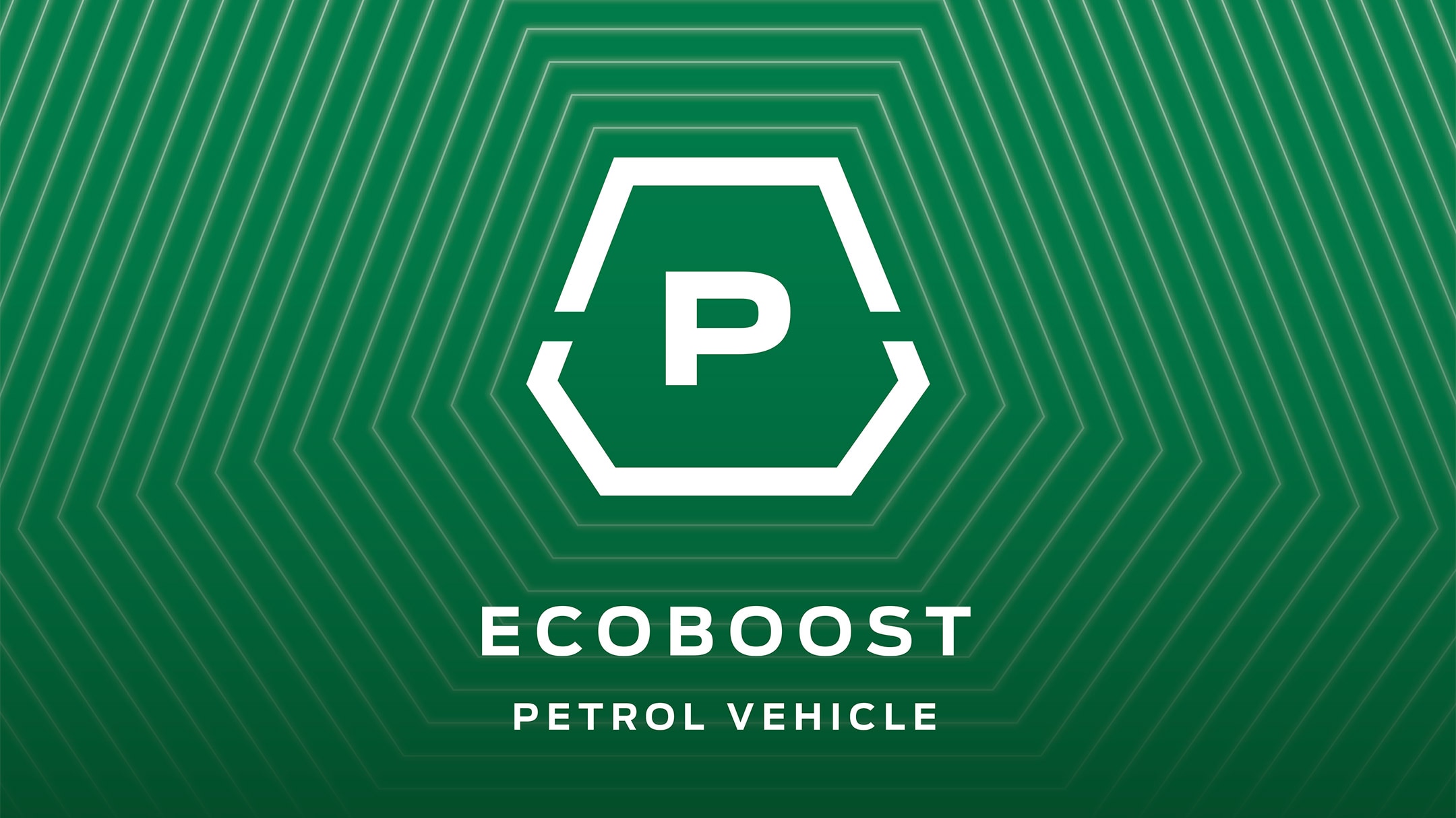 Ecoboost Icon