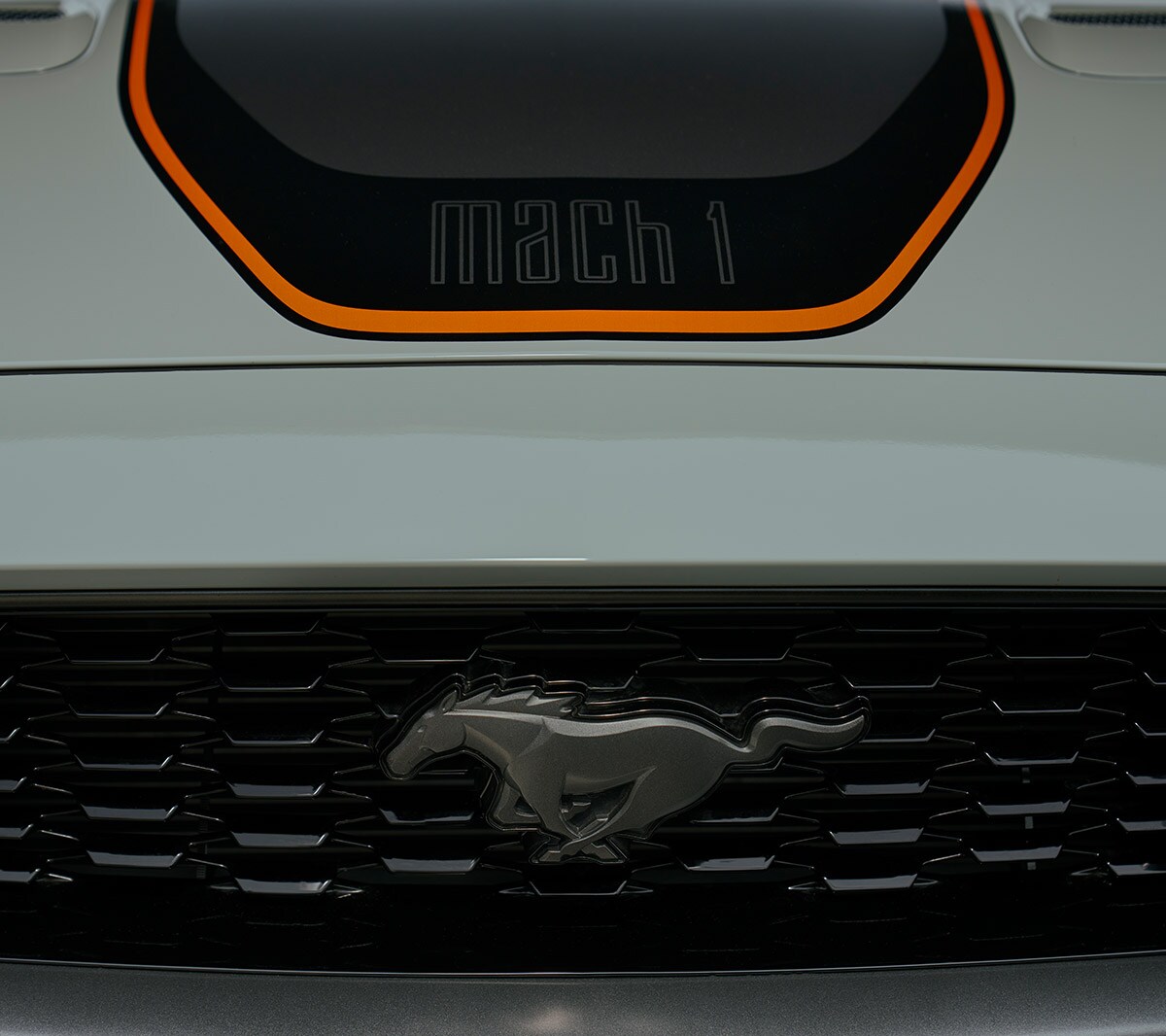 Ford Mustang Mach 1 couleur blanche. Vue détaillée du cheval galopant sur la calandre