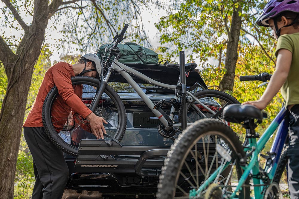 Two technicians making car check